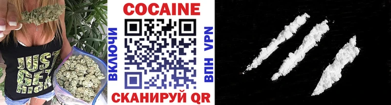 ссылка на мегу ССЫЛКА  Пудож  COCAIN VHQ 