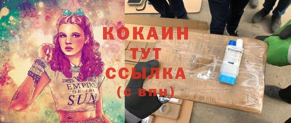 соль ск Абаза