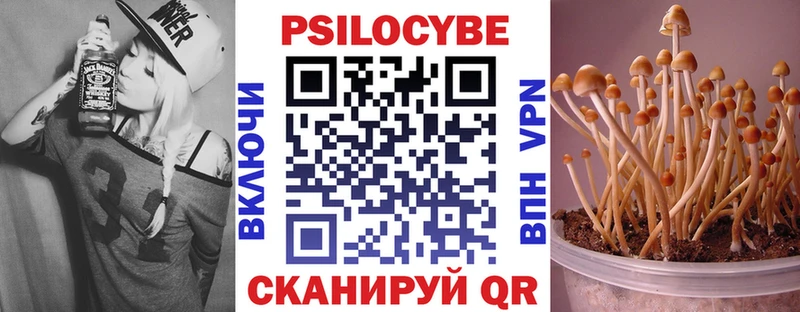Псилоцибиновые грибы Psilocybine cubensis  Пудож 